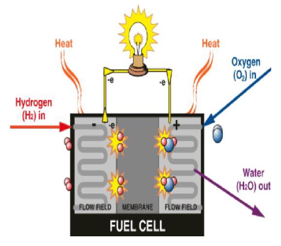 燃料电池工作原及国内外市场发展趋势分析